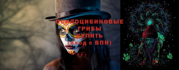 mdpv Вяземский