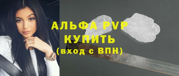 стафф Вязьма