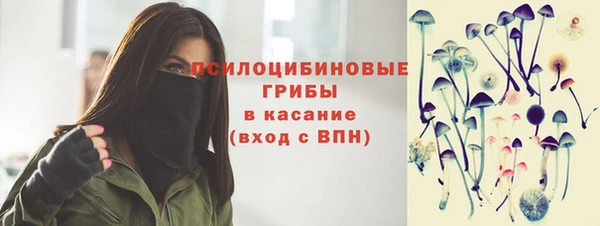 mdpv Вяземский